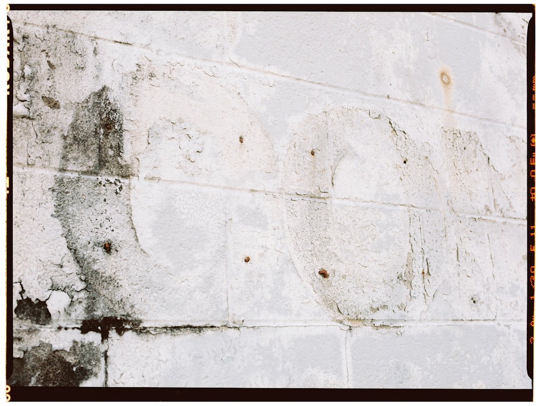 Mold Remediation service in Prescott Valley, AZ